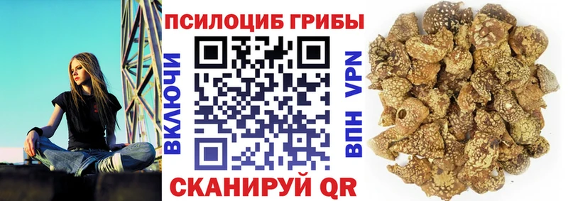 Галлюциногенные грибы GOLDEN TEACHER  купить   Томск 
