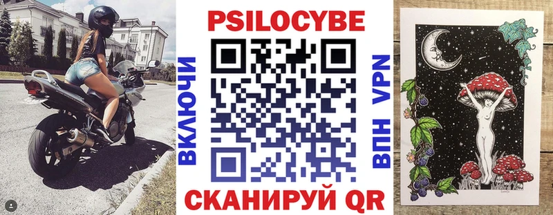Галлюциногенные грибы Cubensis Томск